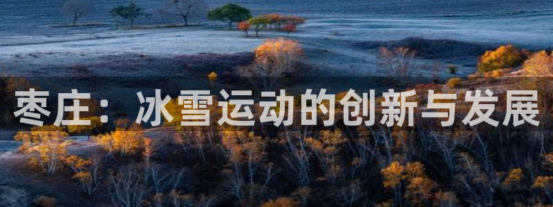 球王会体育：枣庄：冰雪运动的创新与发展