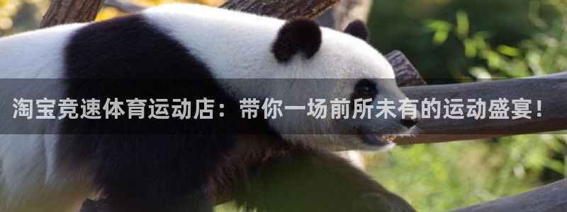 球王会体育：淘宝竞速体育运动店：带你一场前所未有的运动盛宴！