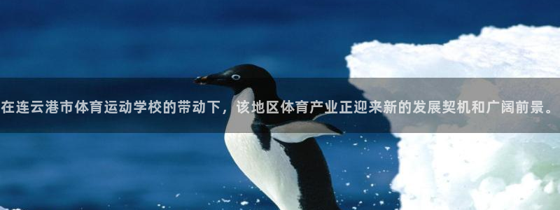 球王会体育：在连云港市体育运动学校的带动下，该地区体育产业正迎来新的发展契机和广阔前景。