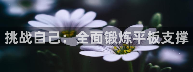 球王会体育：挑战自己：全面锻炼平板支撑