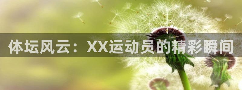 球王会体育：体坛风云：XX运动员的精彩瞬间