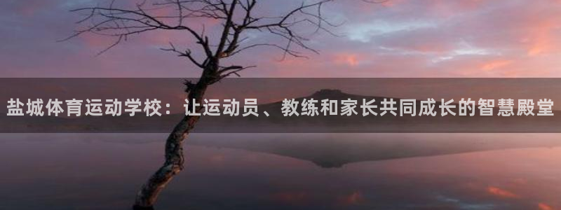 球王会体育：盐城体育运动学校：让运动员、教练和家长共同成长的智慧殿堂