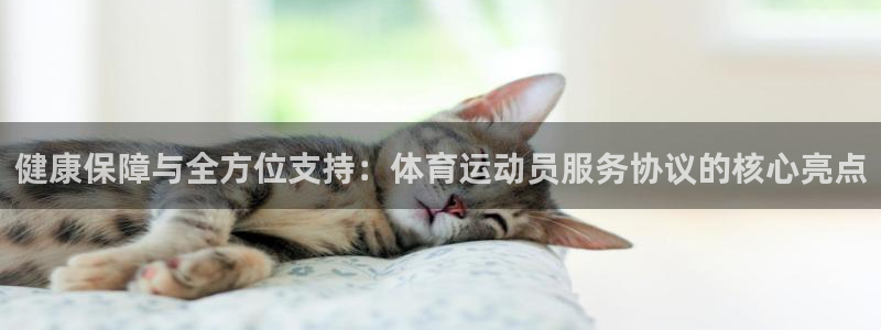 球王会体育：健康保障与全方位支持：体育运动员服务协议的核心亮点
