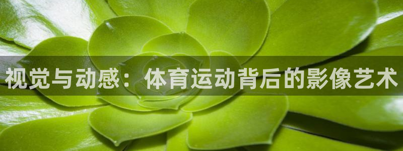 球王会体育：视觉与动感：体育运动背后的影像艺术
