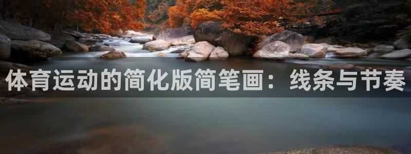 球王会体育：体育运动的简化版简笔画：线条与节奏
