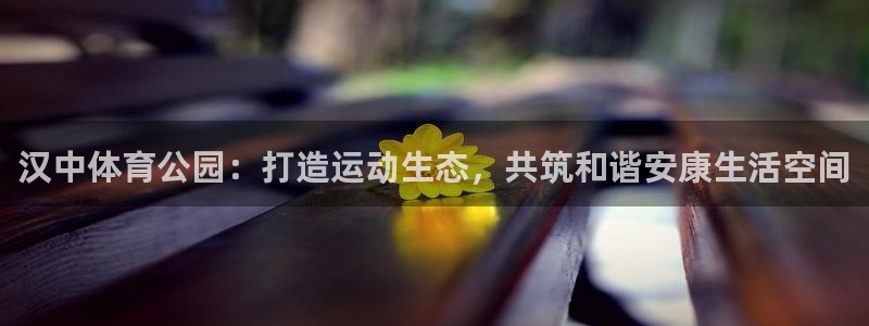 球王会体育：汉中体育公园：打造运动生态，共筑和谐安康生活空间