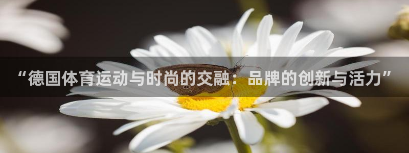 球王会体育：“德国体育运动与时尚的交融：品牌的创新与活力”