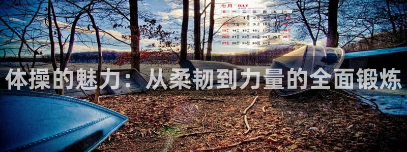 球王会体育：体操的魅力：从柔韧到力量的全面锻炼